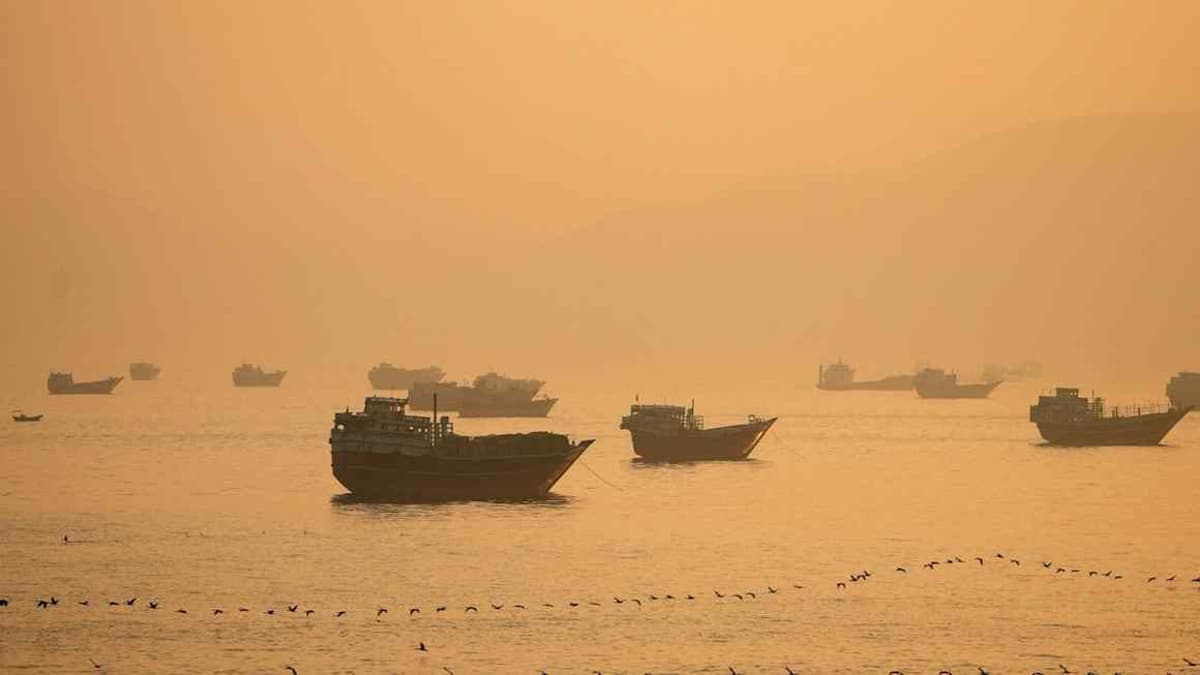 Oil Sinks Below $80 a Barrel as Traders Bet Strait of Hormuz Flows Will Return