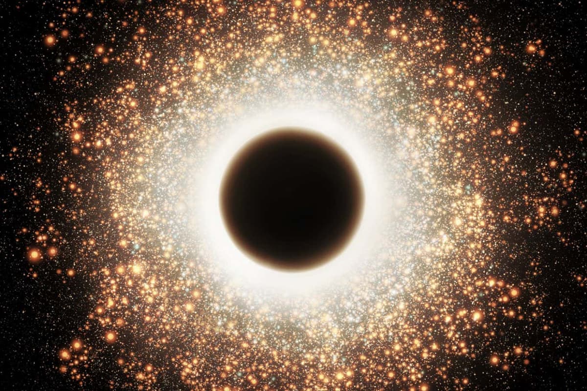 Black Hole Stars Really Do Exist in the Early Universe