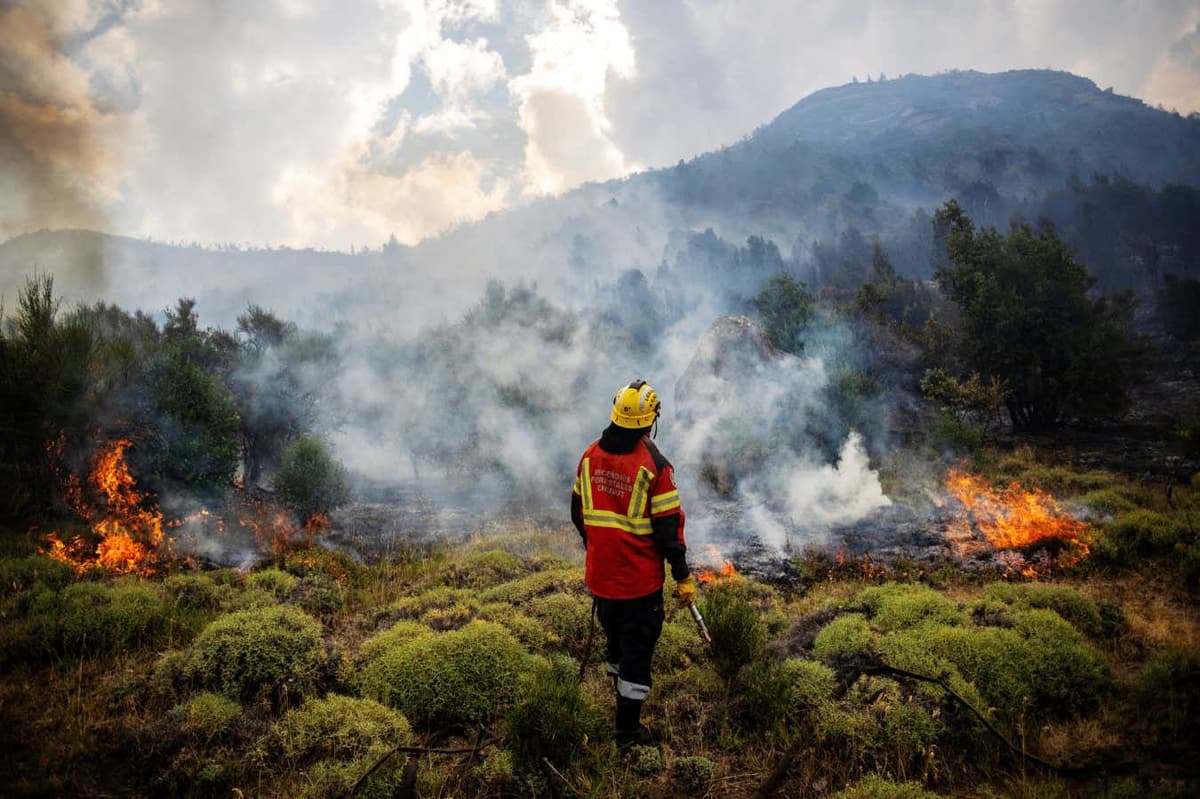 2026 Will Be the Hottest Year on Record, Leading Scientist Predicts