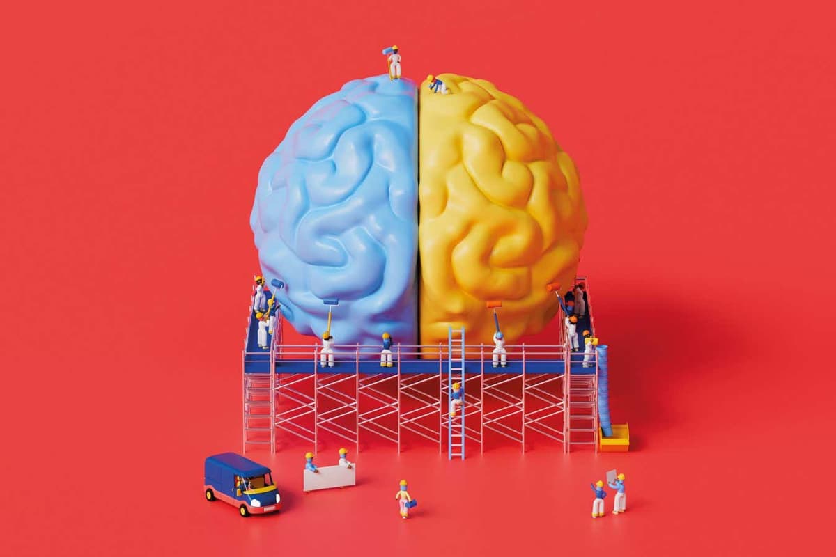 How some People's Brains Make an Extraordinary Recovery From Stroke