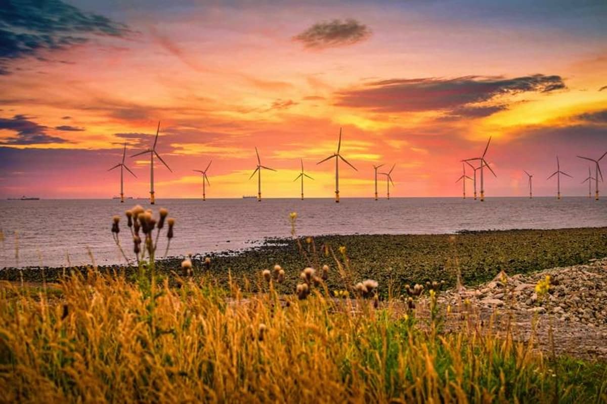 Siemens Gamesa CEO: Wind Turbine Cutbacks Likely if Offshore Expansion Falters
