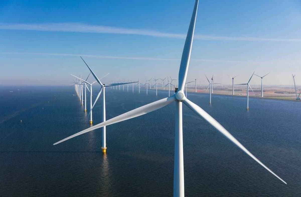 Seraya Partners Considers Sale, IPO for Offshore Wind Firm Cyan Renewables