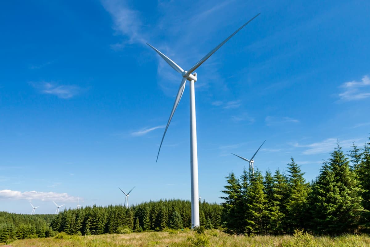 Why Windfarms and Electricity Pylons Have Become a Major Issue in the Welsh Election