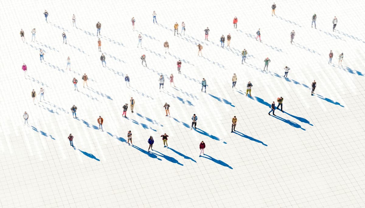 The NZ Census Guided Vital Economic and Social Planning. What Happens Now It’s Gone?