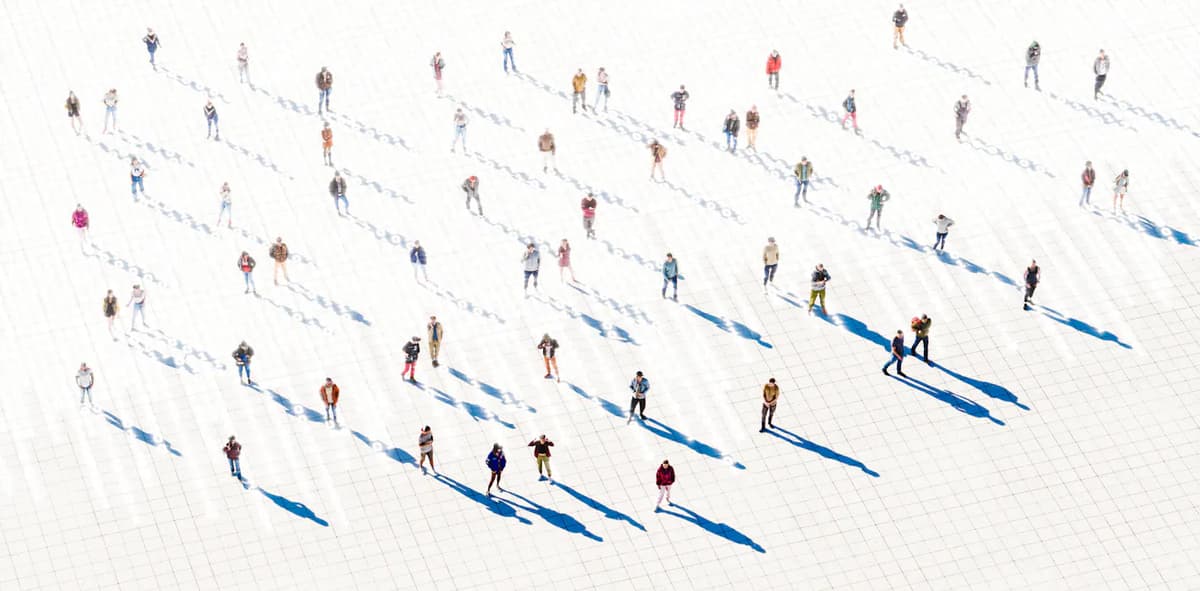 The NZ Census Guided Vital Economic and Social Planning. What Happens Now It’s Gone?