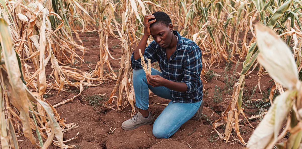 Extreme Heat Is a Growing Threat to Health, Jobs and Food Security in Southern Africa – Study Looks for Practical...
