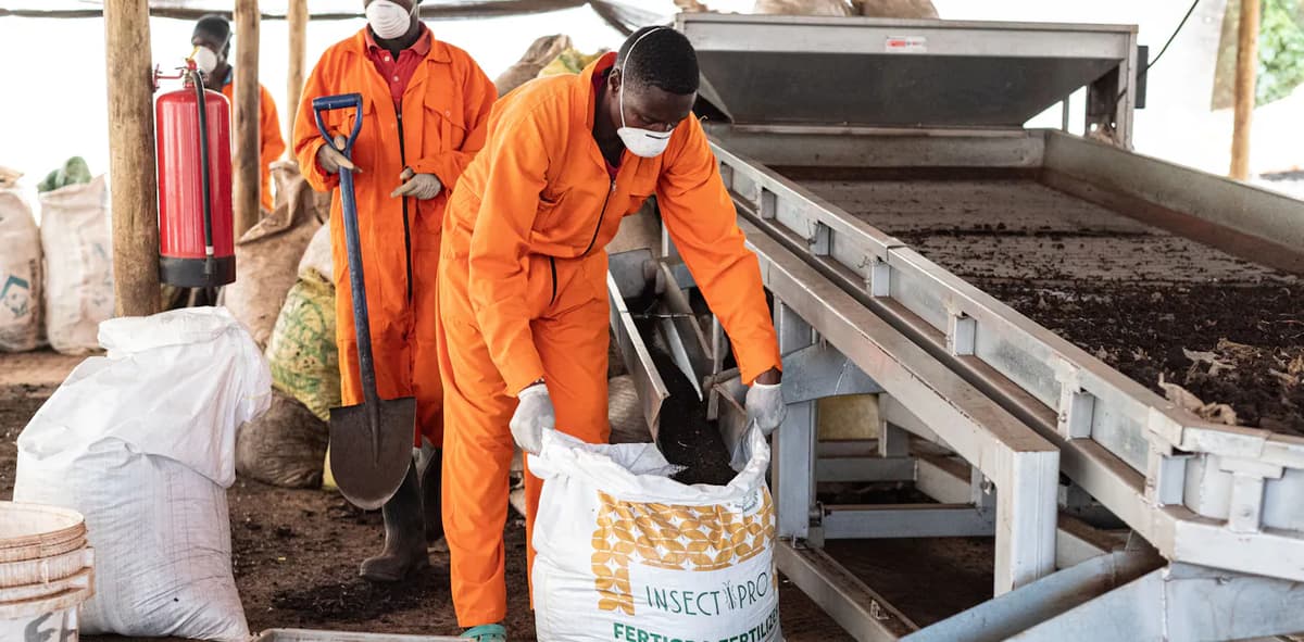 80% of Africa’s Fertiliser Is Imported: How Food Systems Can Adapt to the Iran Shock