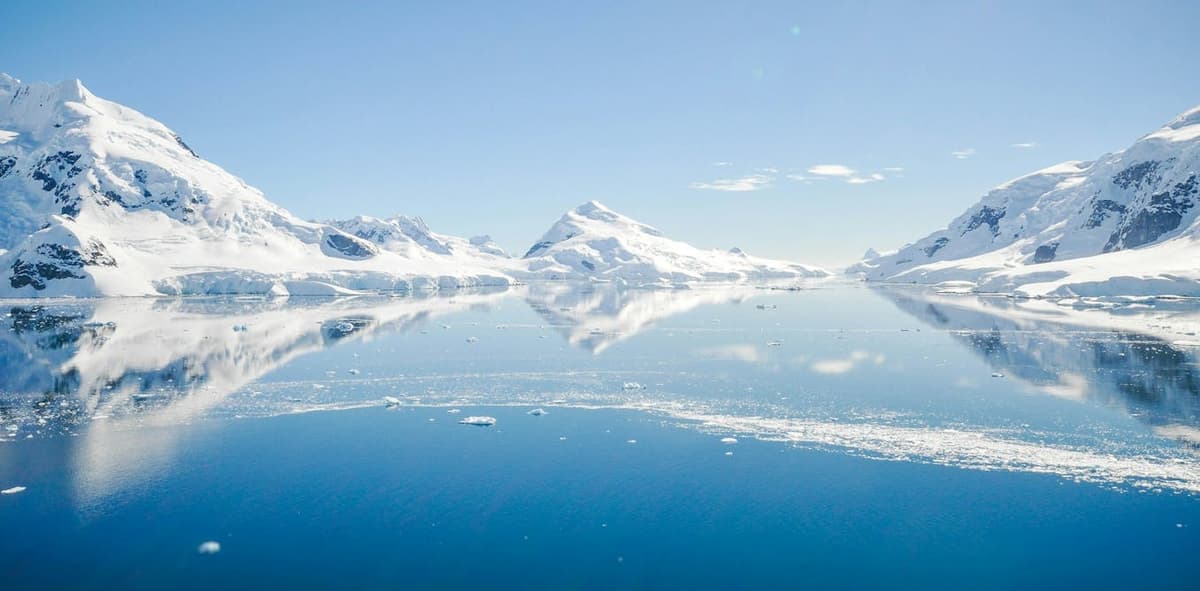 The Giant Viruses that Orchestrate Life in the Polar Regions
