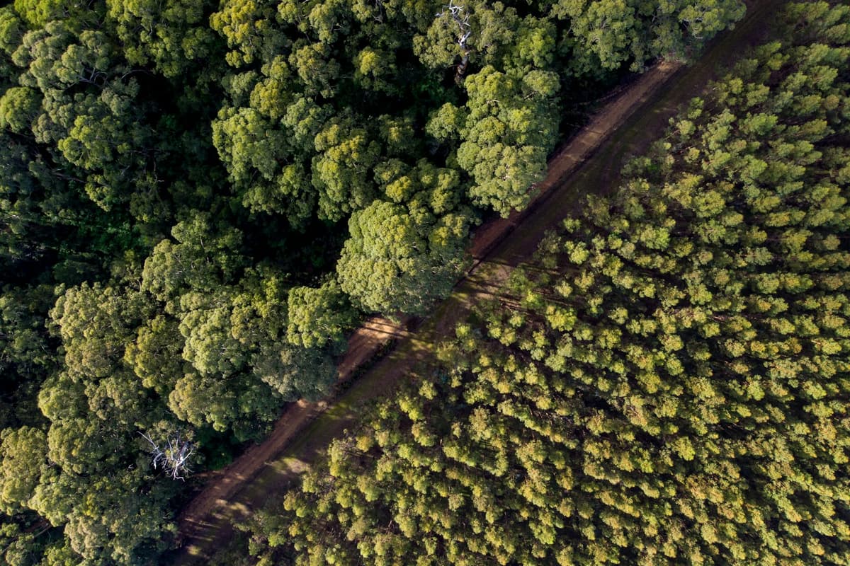 Australian Government Invests $35M in Cement Australia to Upgrade Kiln for Wood Waste Fuel
