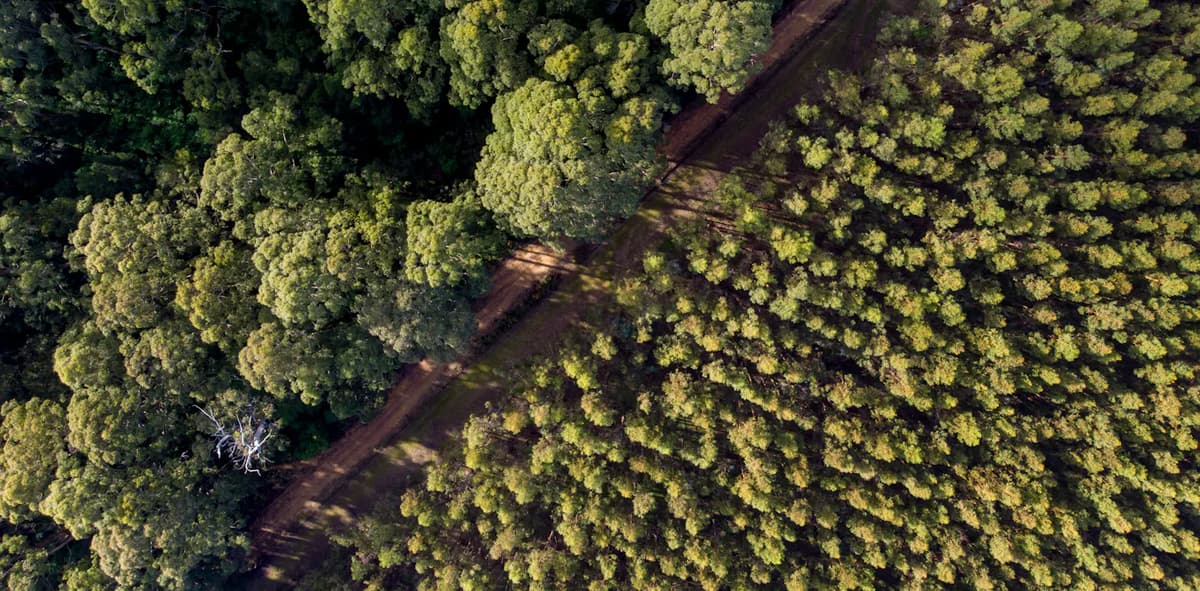 Australian Government Invests $35M in Cement Australia to Upgrade Kiln for Wood Waste Fuel