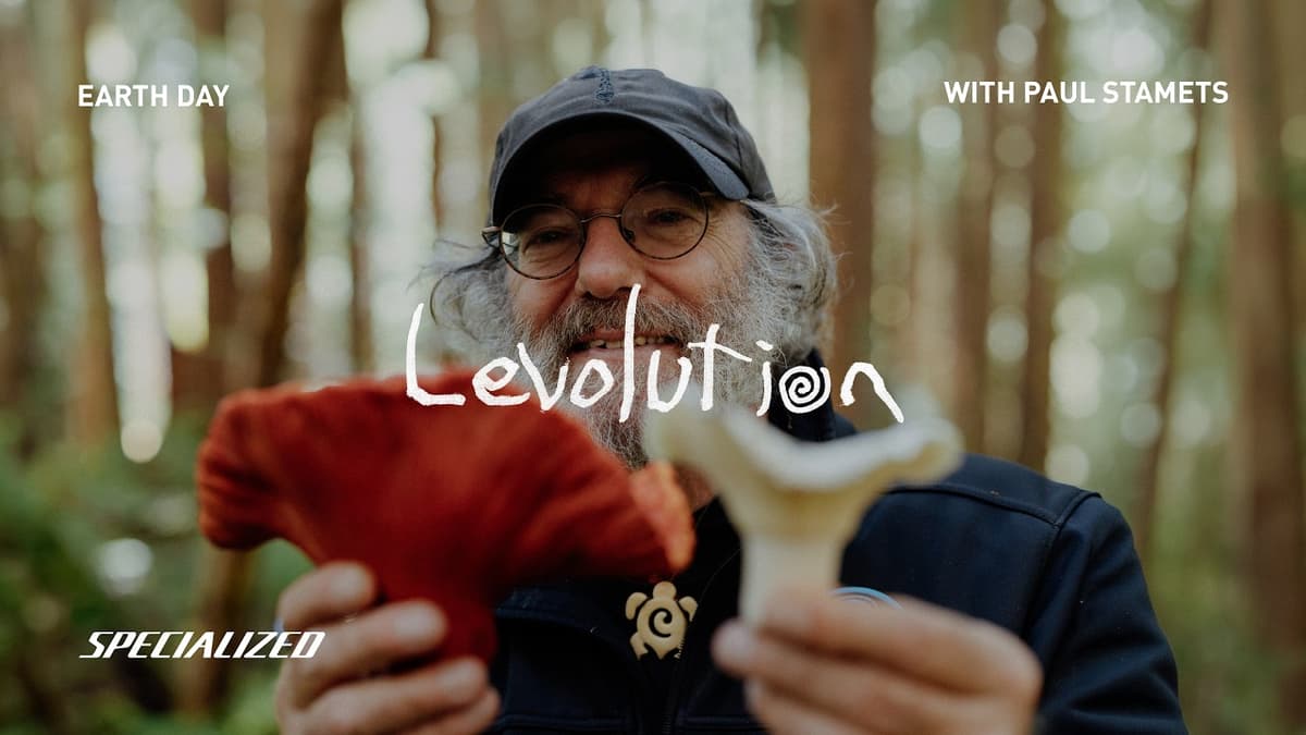 Paul Stamets on Nature, Mushrooms, and Creativity