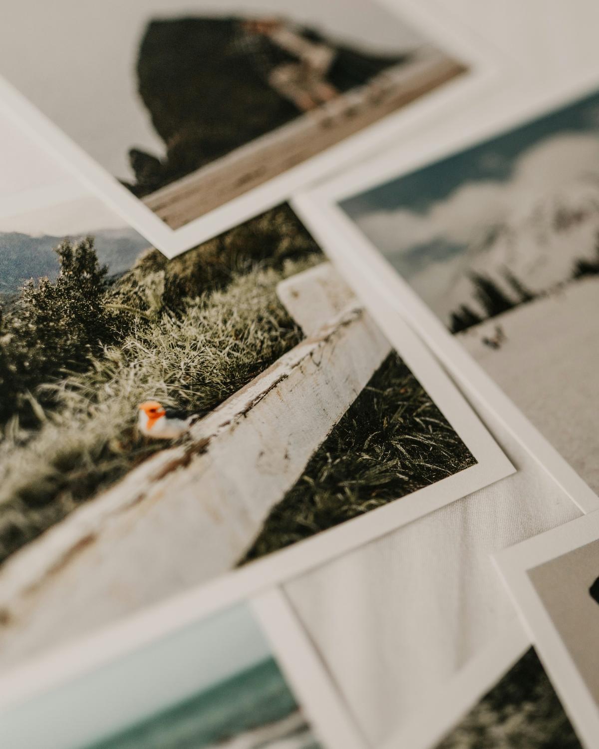 When AI Remembers Everything and Organisations Forget How to Choose