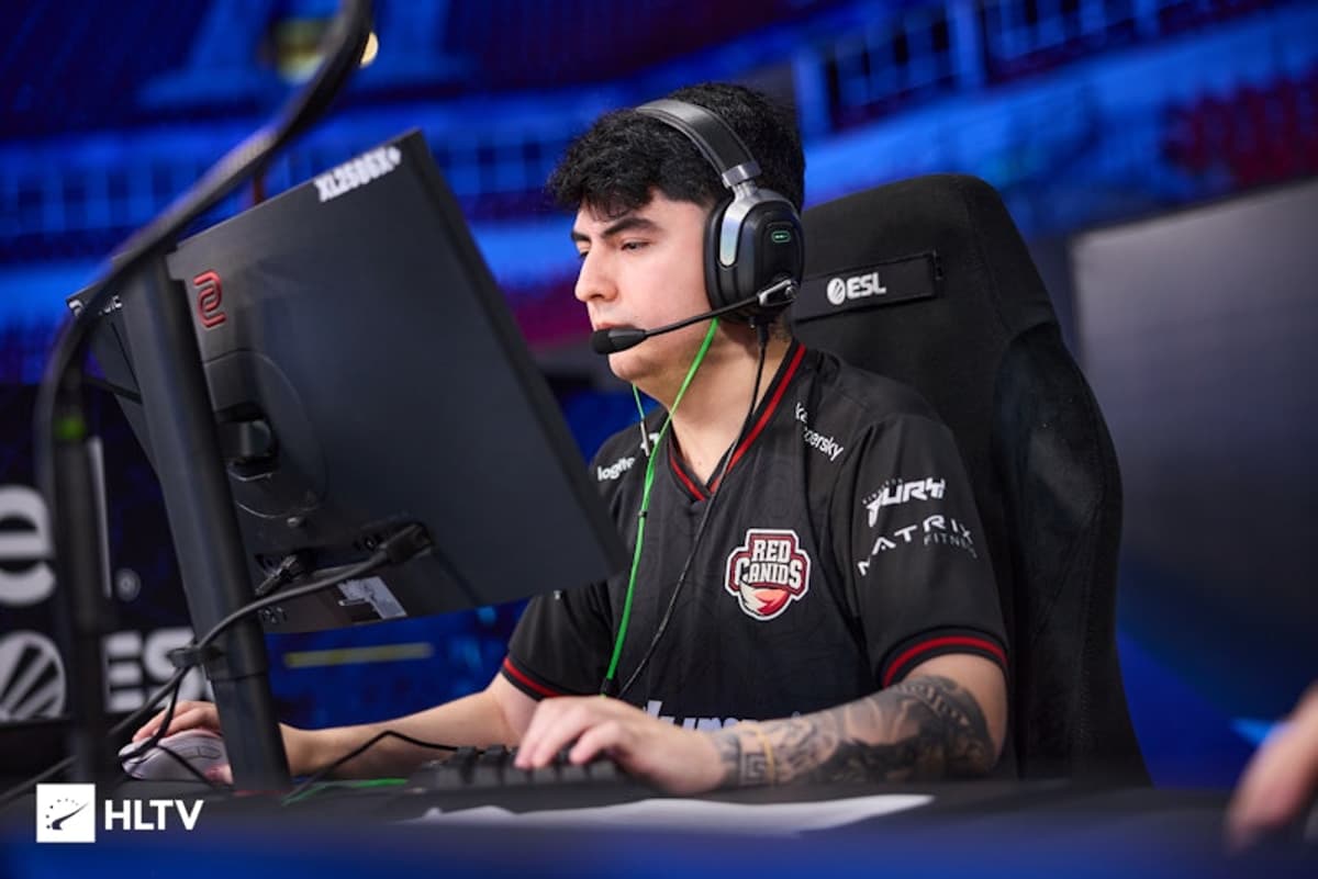 Fluxo Confirm dav1deuS and Ltz Signings