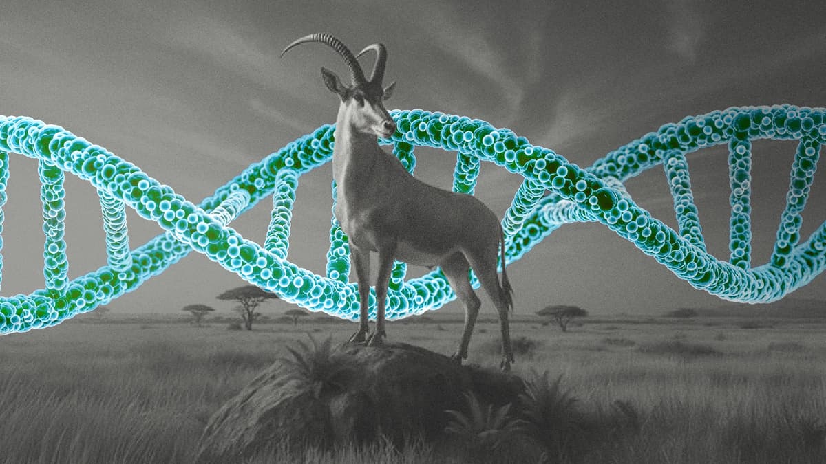 How One Startup Turned Extinction Into a Multi-Billion-Dollar Science Movement