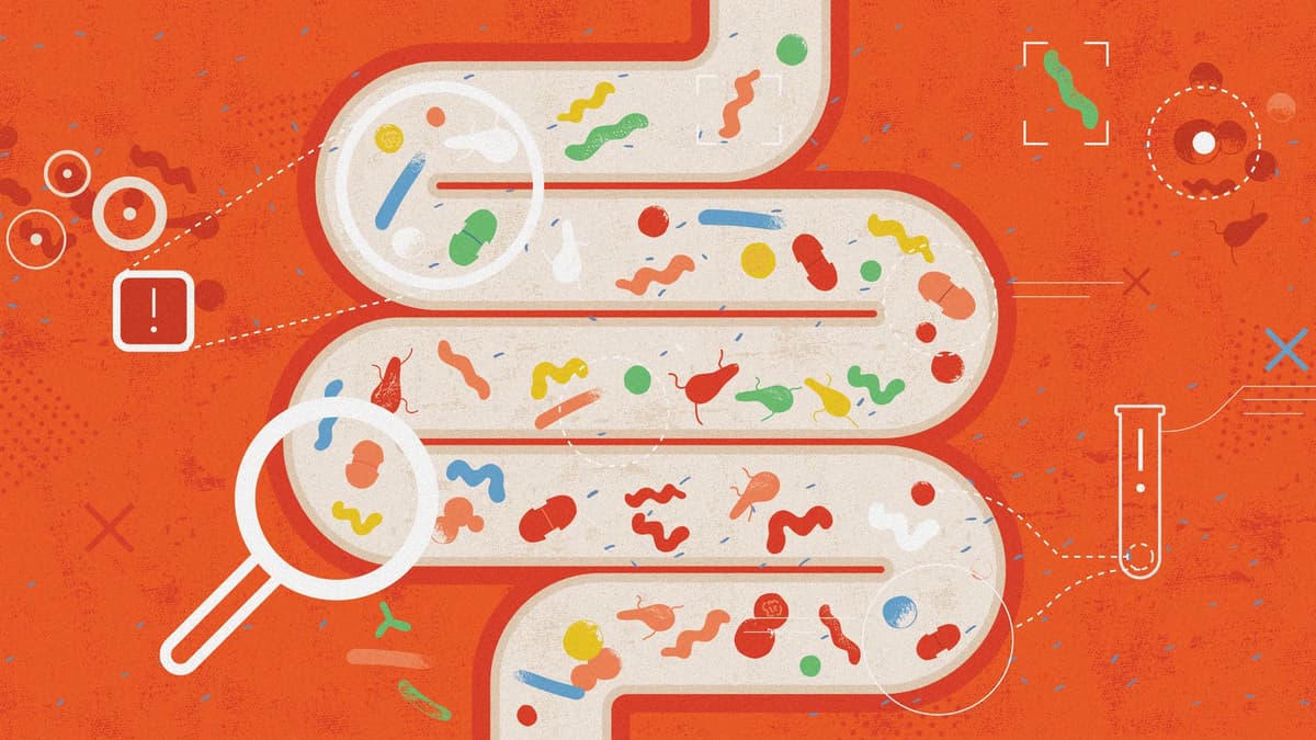 Is Your Gut Aging Your Entire Body? This New Study Explains How