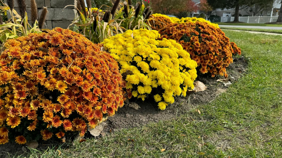 Proactive Vs. Reactive Landscape Management