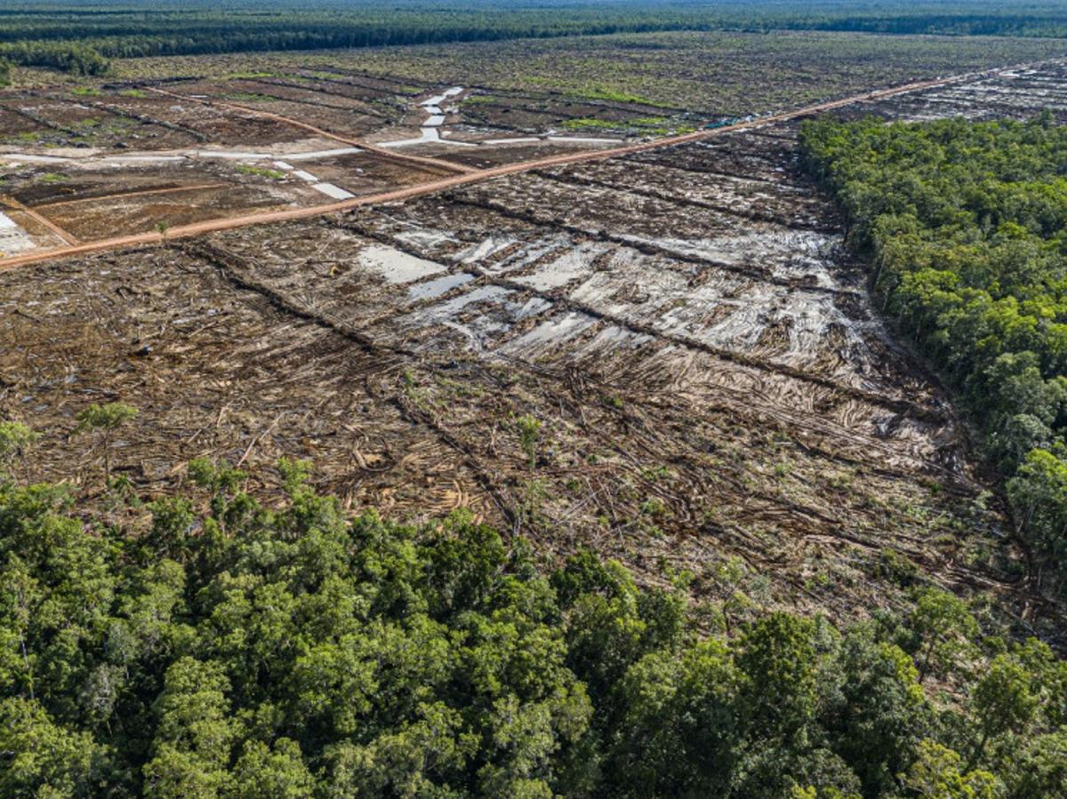 Lack of Land Casts Doubt on Govt’s Sugarcane Plantation Mandate