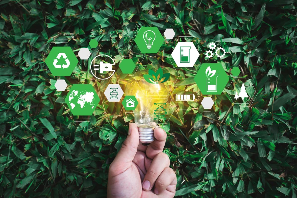 Leaders Are Trying to Reduce Supply Chain Environmental Impact