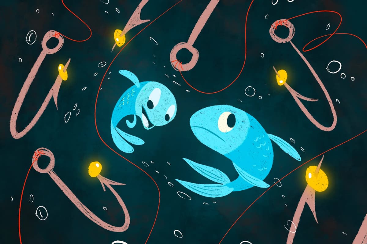 Fake Skincare, Phony SSA Emails and Amazon Prime Cons on the Rise