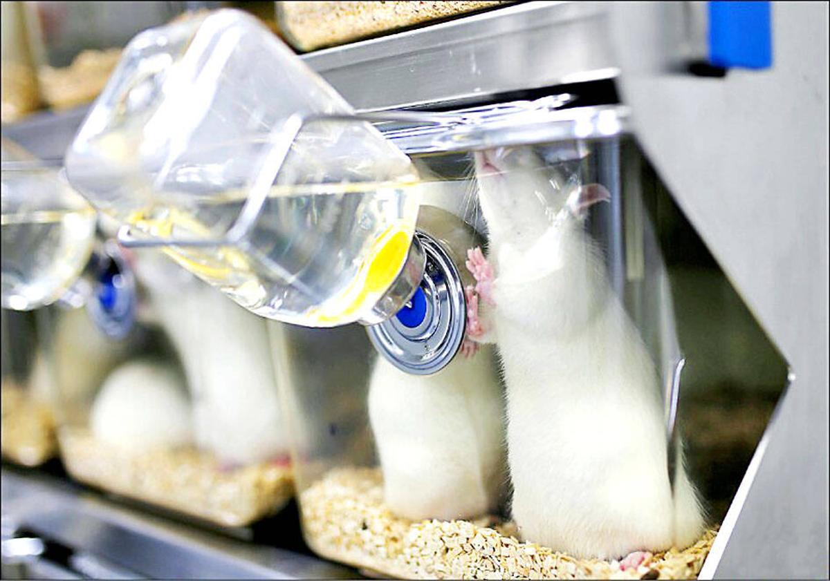 MOA Limits Animal Testing at Poorly Rated Institutions