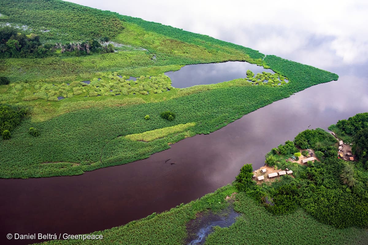 Agriculture Drives Most Tropical Peatland Loss in Indonesia, Peru and DRC: Study