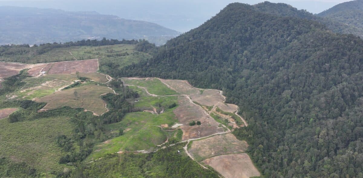 Indonesian Communities Try to Reclaim Lands Following Company Permit Revocations