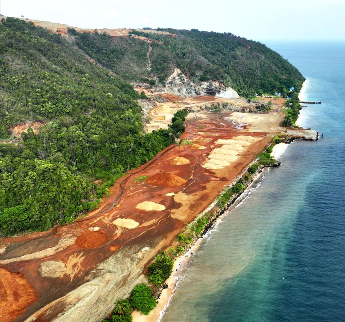 Deforestation Is Surging in Indonesia