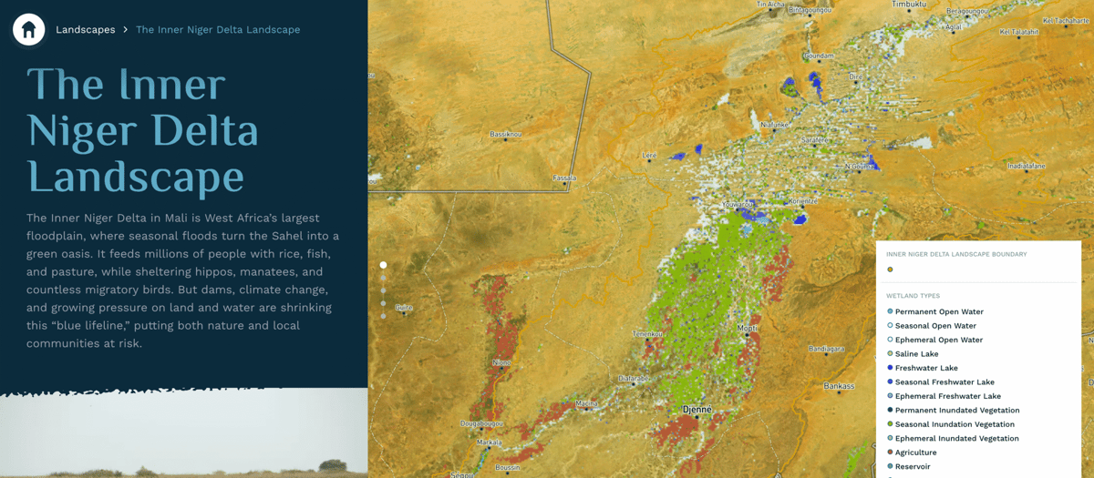 New Atlas Aims to Help Save Africa’s Disappearing Wetlands
