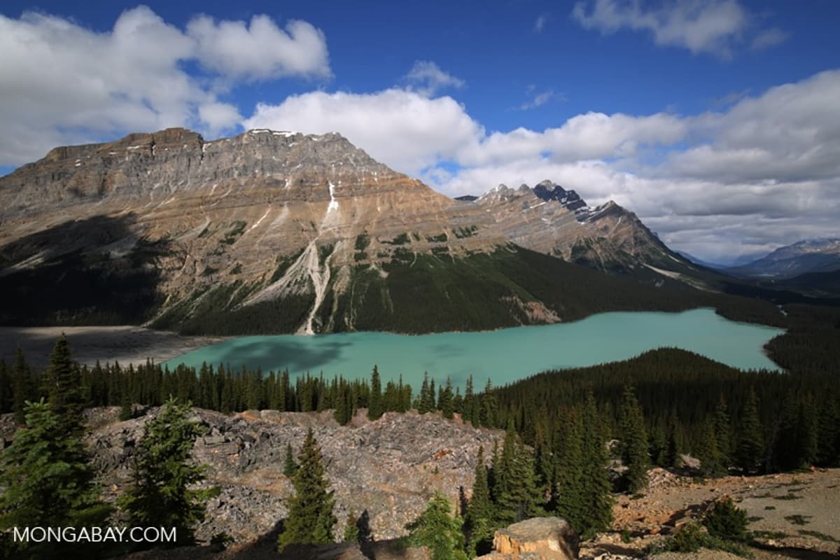 Canada Offers Mines and More in $730b Investment Bid Slammed as Unsustainable