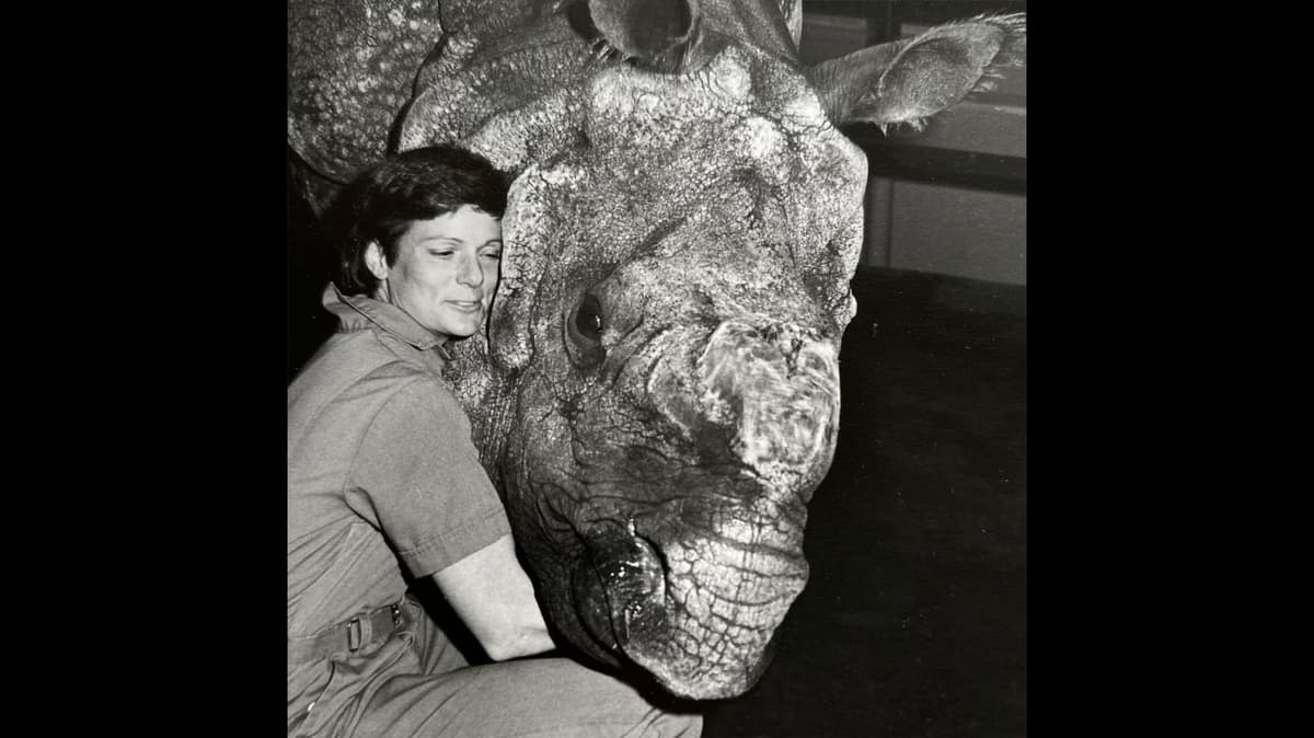 Nan Schaffer, Veterinarian Who Helped Unlock the Science of Rhino Reproduction, Has Died, Aged 72