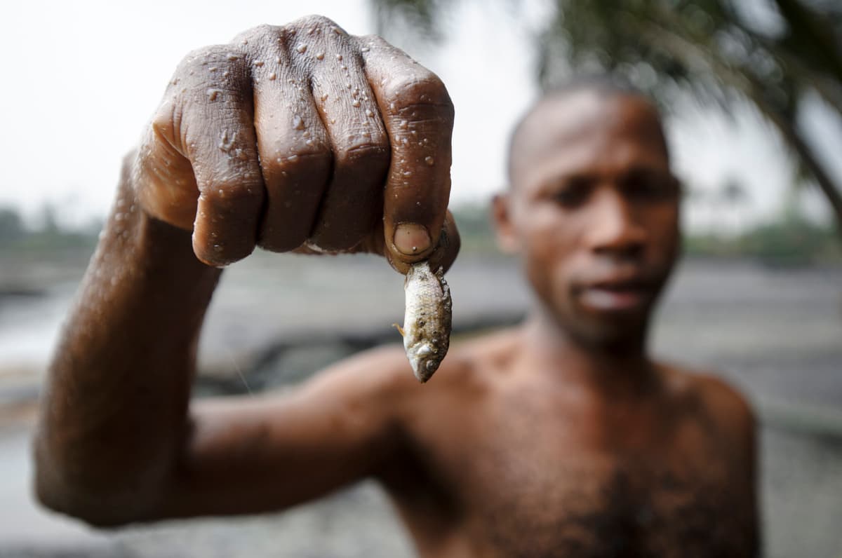Marine Resource Conflicts in Africa Revolve Mostly Around Access: Study