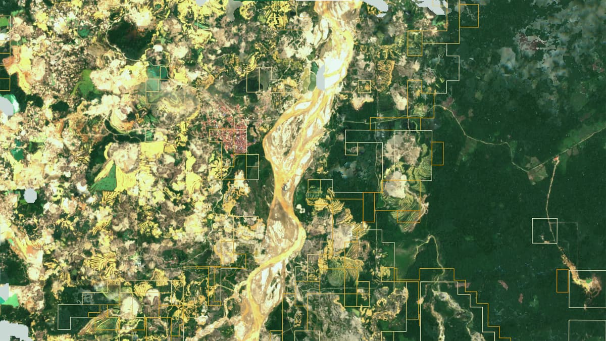 A Search Engine for the Planet Opens to the Public