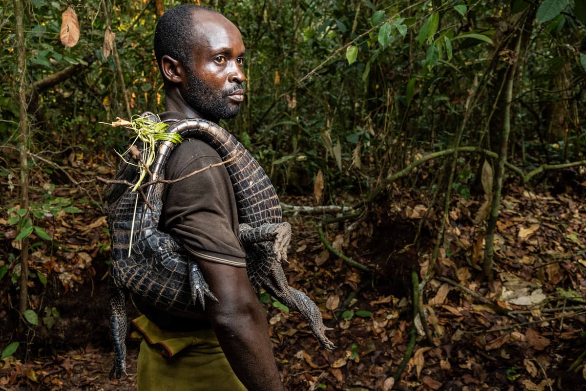 Wild Animal Consumption on the Rise in Central Africa, Study Finds
