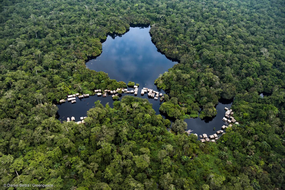 World Peatland Day Honors a Crucial Ecosystem in the Fight Against Climate Change