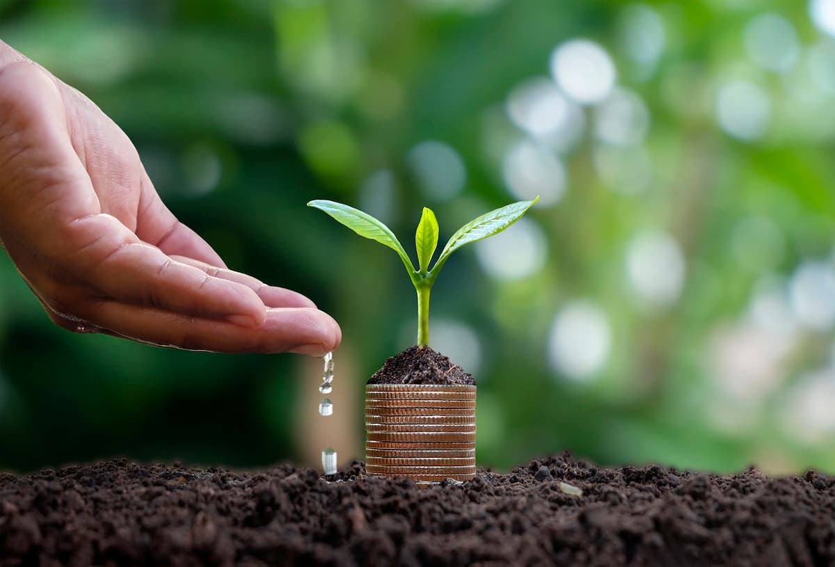 New Guide Urges Wealthy Investors to Define Goals to Maximise Impact