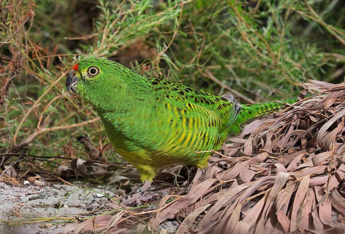 New Partnership Delivers ‘Most Expansive’ Nature Positive Initiative Pilot Globally