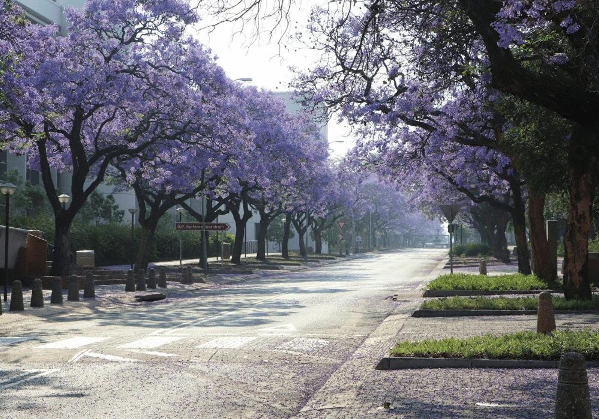 Gauteng Roads Dept Strengthens Internal Delivery Capacity