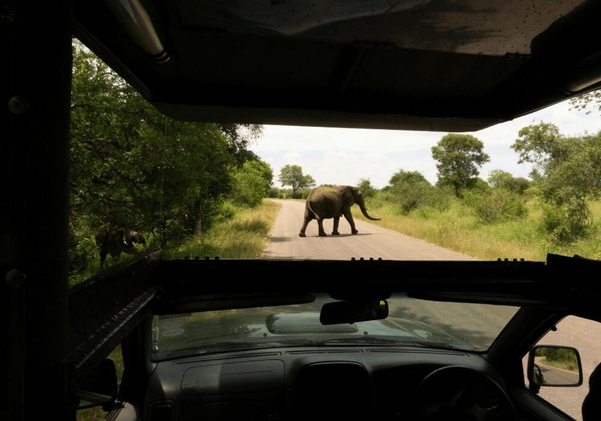 Kruger At 100: A South African Conversation Story