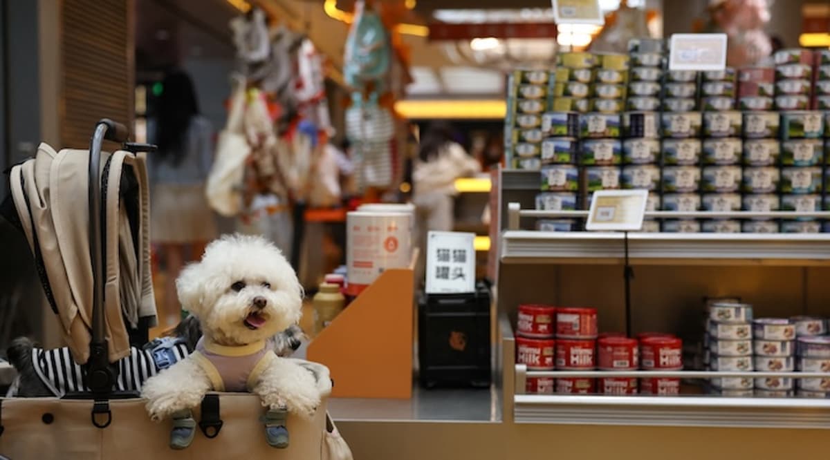 China’s Pet Food Market Heats up as Local Brands Take on Global Giants