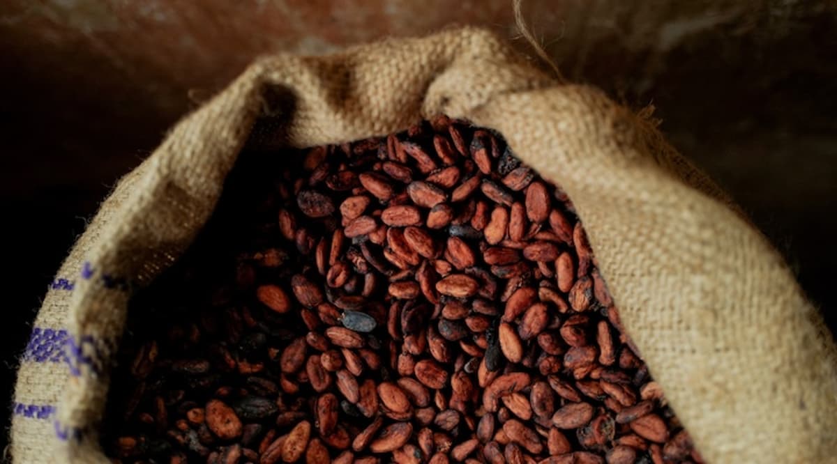 ‘Real’ Chocolate Is Making a Comeback as Cocoa Prices Fall
