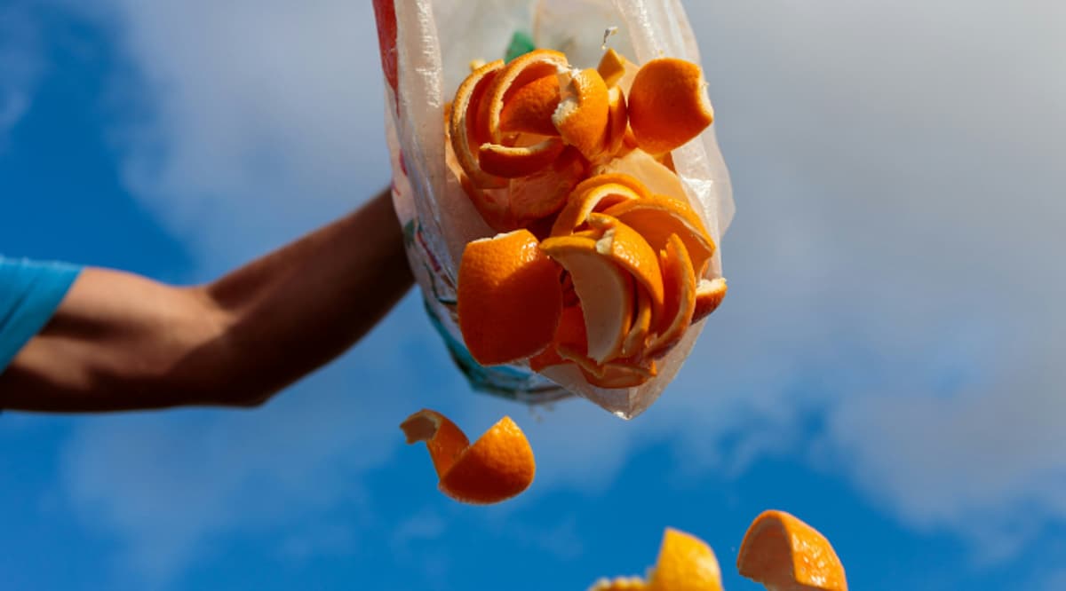 AI Sensors Are Providing Fresh Solutions to the Food Waste Challenge