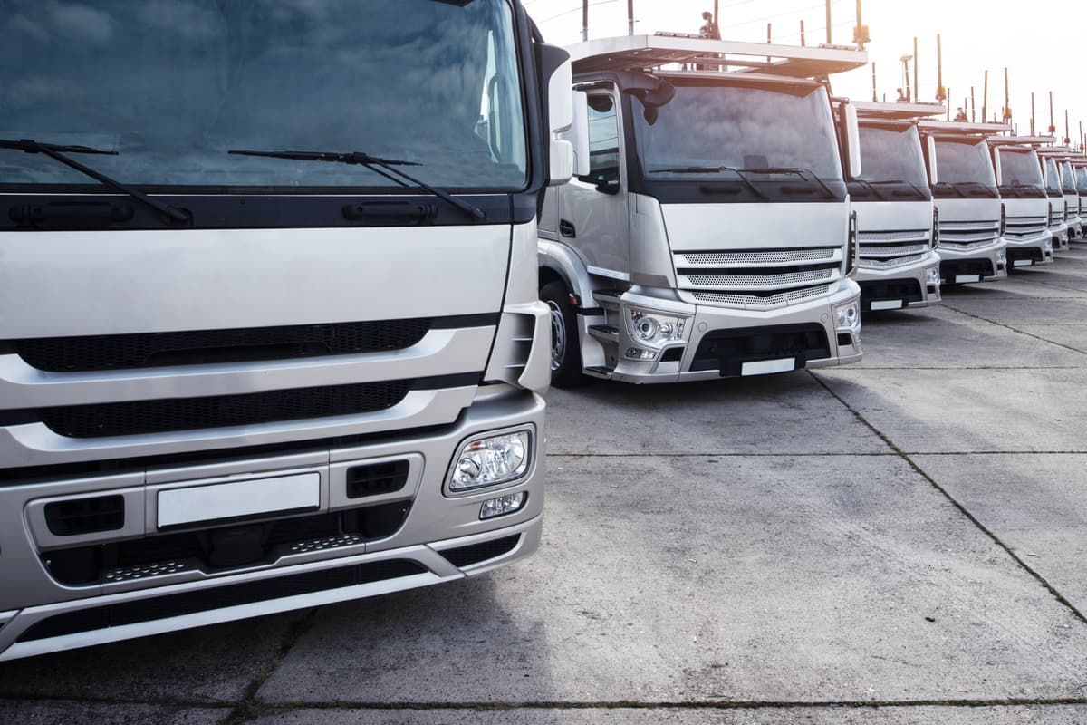 Closing the Connectivity Gap in Global Freight
