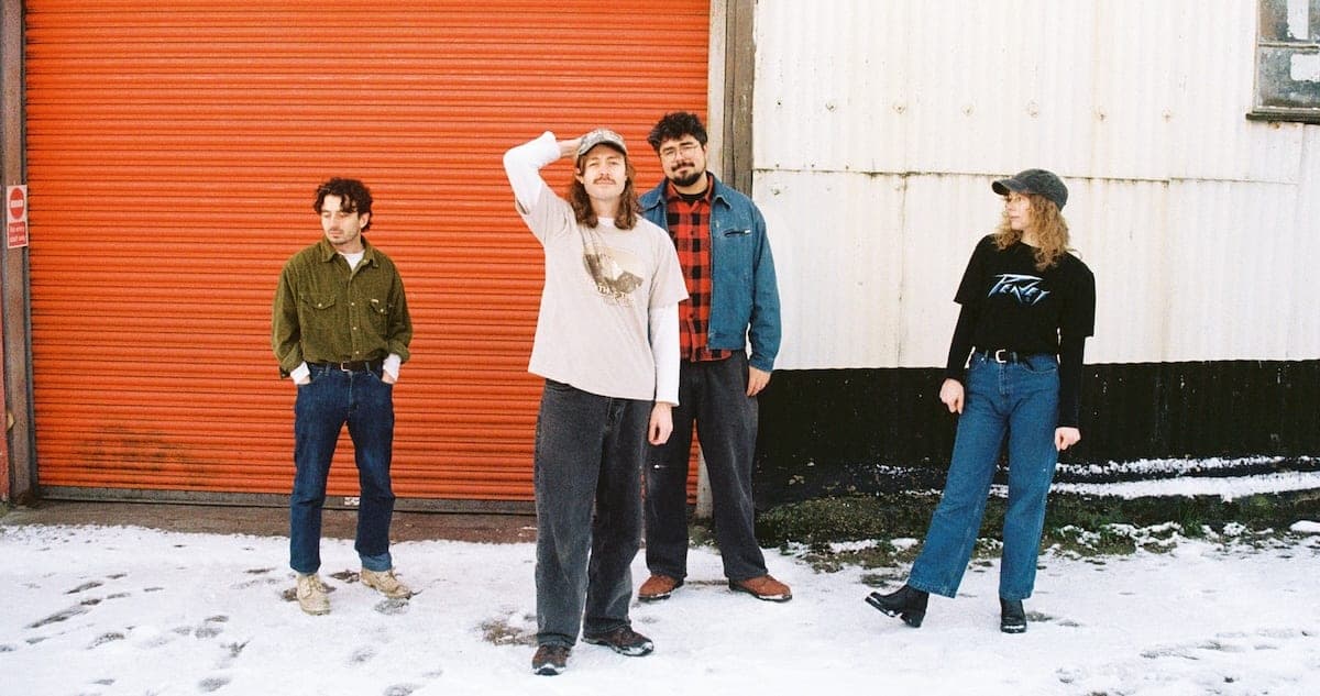 Brown Horse – Total Dive