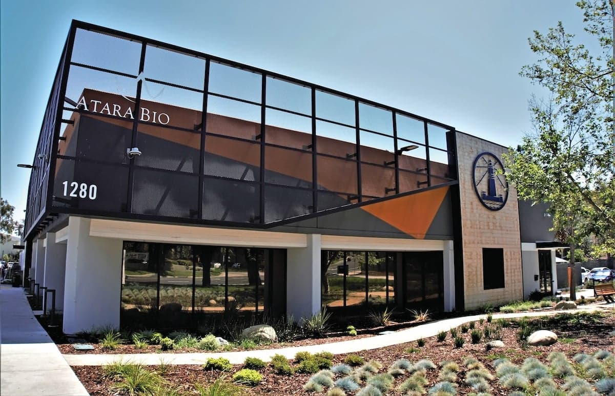 Atara Bounces Back with FDA