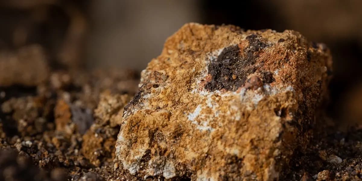 Brazilian Official Nixes Terrabras Creation