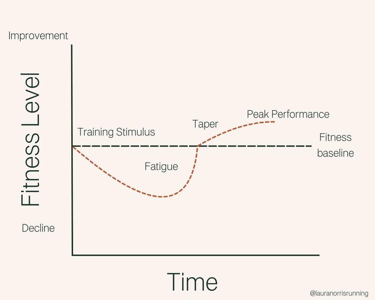Here’s Why Your Easy Runs Slow Down During Marathon Training