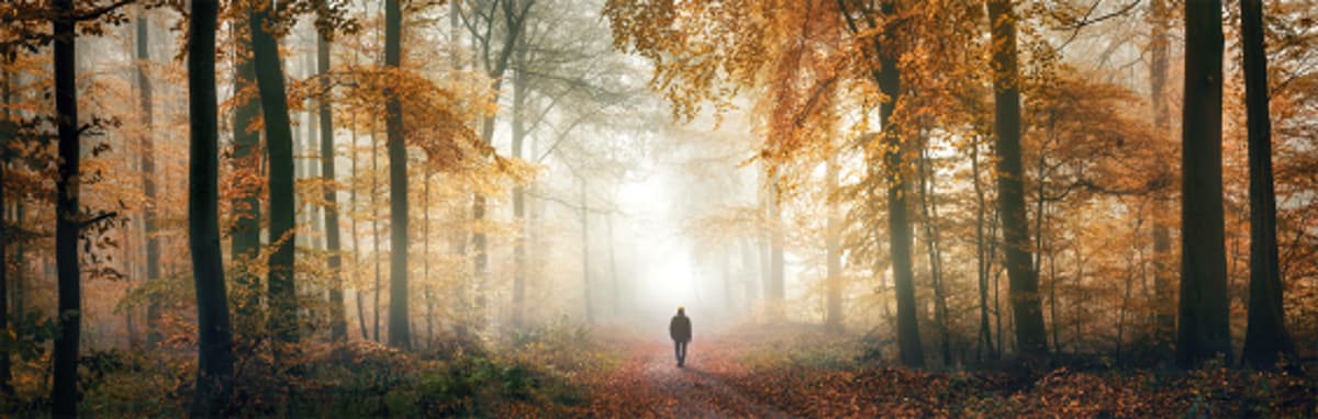How Lonely Walks in Nature Can Make You Feel Less Alone