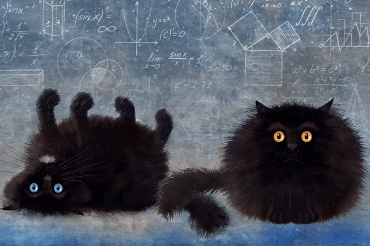 Schrödinger’s Kittens Are All Grown Up