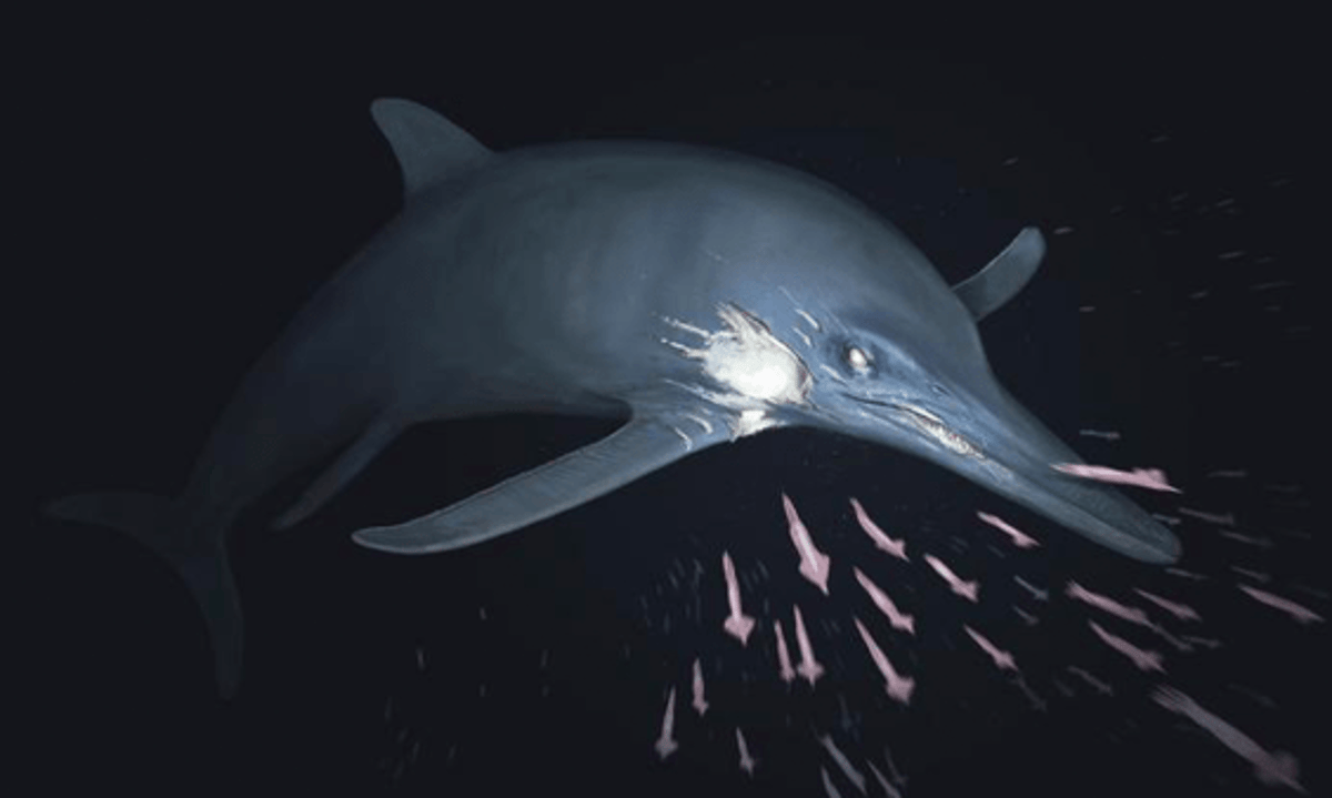 What Hurt This Jurassic Sea Monster?