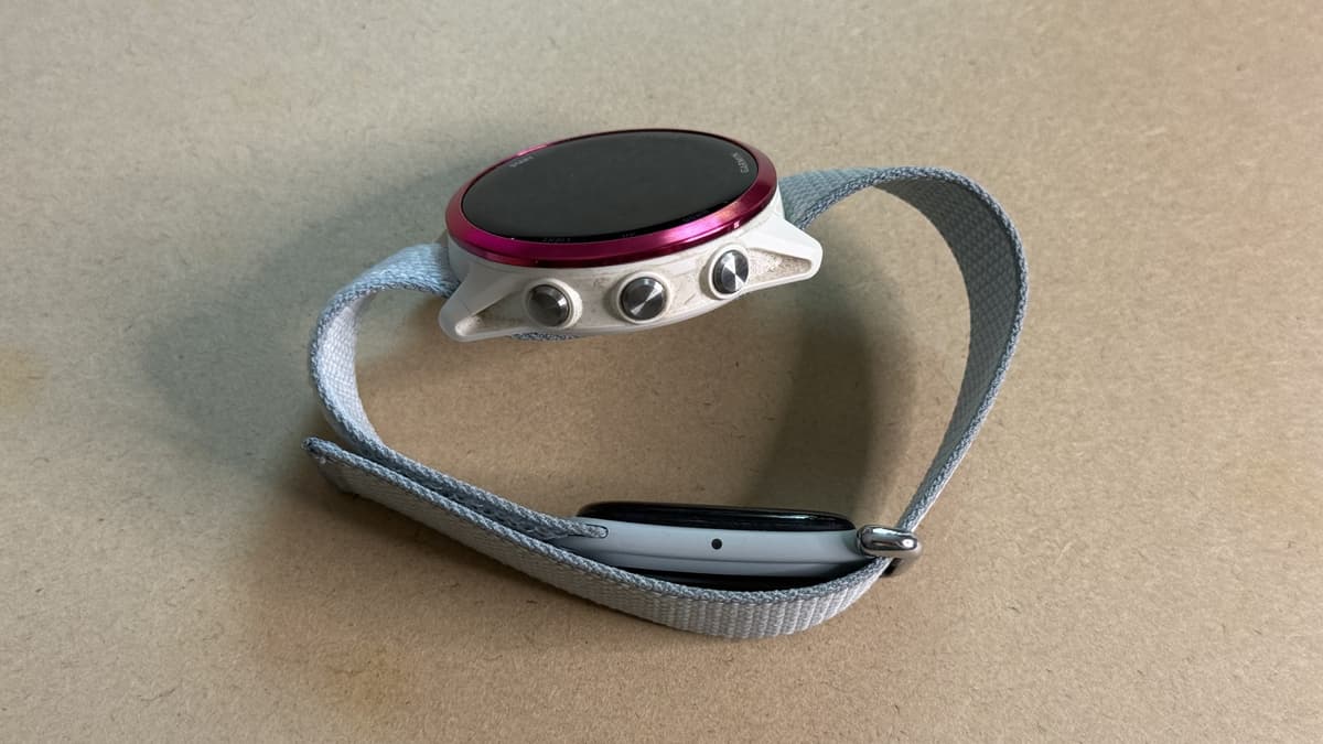 Yes, You Can Put Your Watch and Fitbit Air on the Same Band (but You May Not Want To)